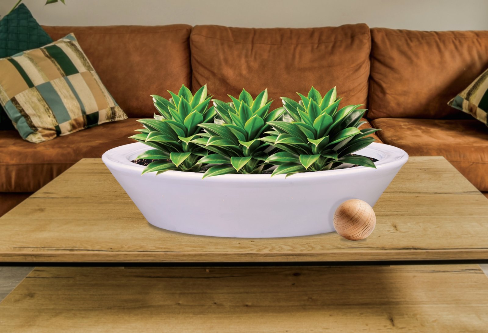 LOPA LOPATO LOTUS in environment